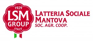 LOGO LSM