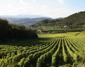 Domenica 26 marzo è in programma la Giornata dei Colli Veneti