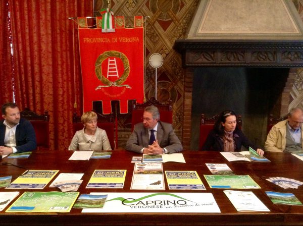 Foto conferenza ok
