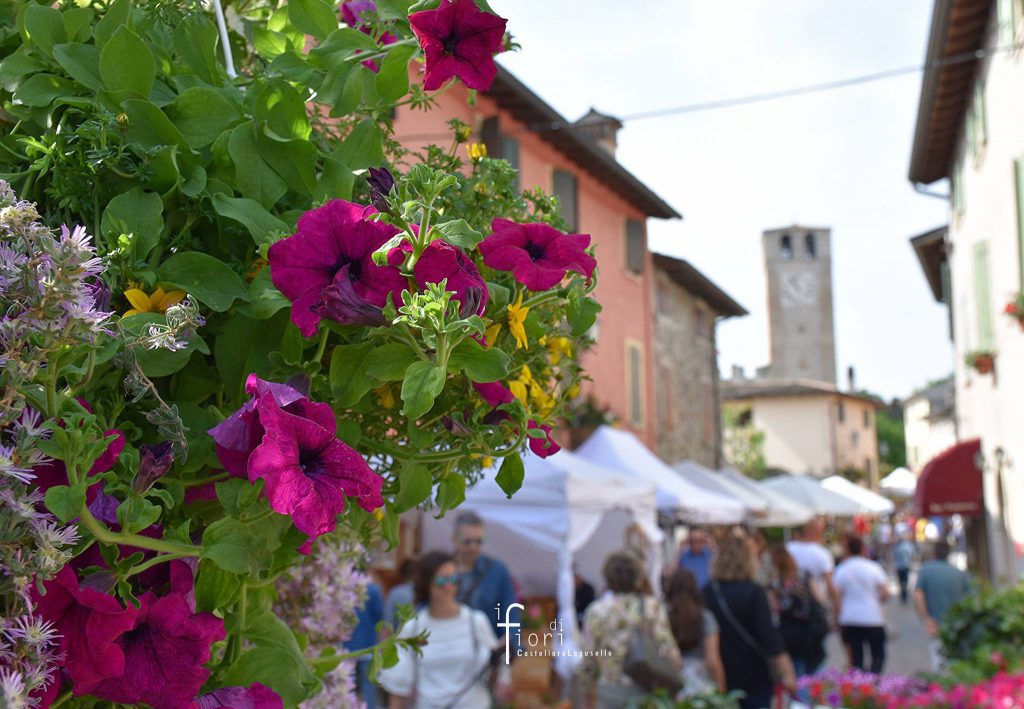 Torna La Festa Dei Fiori A Castellaro Lagusello Radio Pico